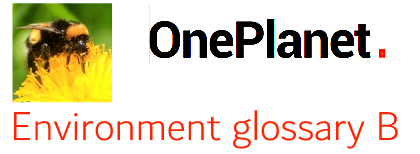 OnePlanet Environmental English logo